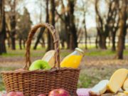 Pique-nique de reprise Quazar – dimanche 19 juillet